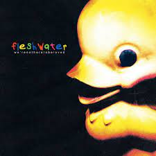 Fleshwater – We’re Not Here to Be Loved – Album Review