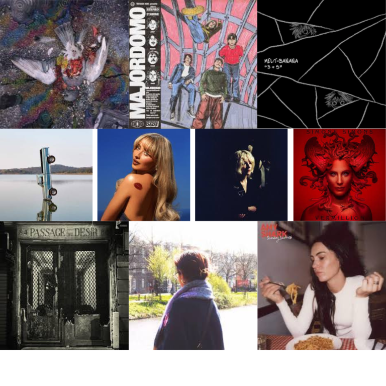 2024 mini reviews #17 (10 albums): Pyrrhon, Teenage Dads, Melt-Banana, and more!